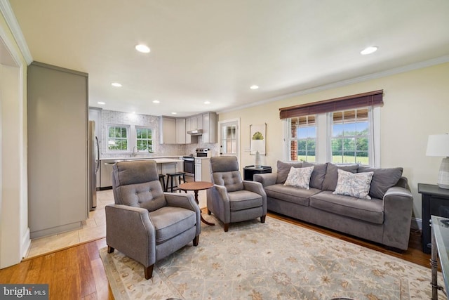 12014 Jefferson Hwy, Mineral, VA 23117 - living room with recessed lighting, crown molding, and light wood-style floors