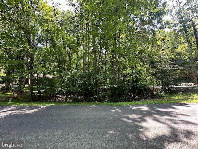 135 Monticello Cir, Locust Grove, VA 22508