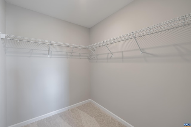 374 Bayberry Ln Unit F3C-20, Zion Crossroads, VA 22942 - walk in closet featuring carpet flooring