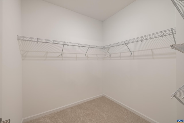374 Bayberry Ln Unit F3C-20, Zion Crossroads, VA 22942 - walk in closet with carpet floors