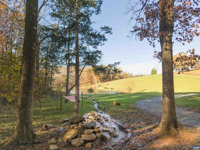 7930 Old Green Mountain Rd, Esmont, VA 22937 - view of yard