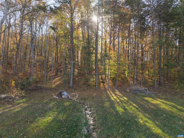 7930 Old Green Mountain Rd, Esmont, VA 22937 - view of yard with a view of trees