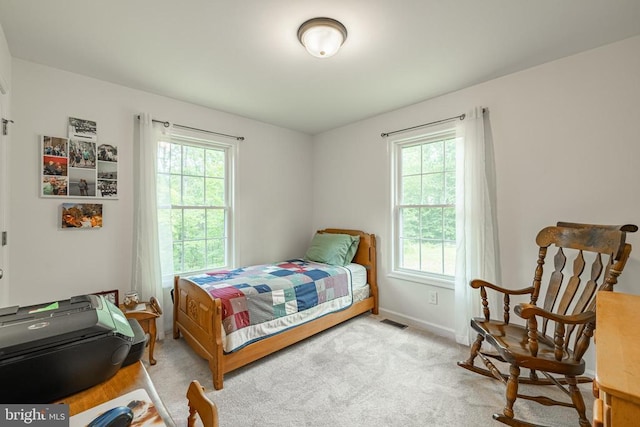 166 John Tucker Rd, Madison, VA 22727 - carpeted bedroom featuring multiple windows and baseboards