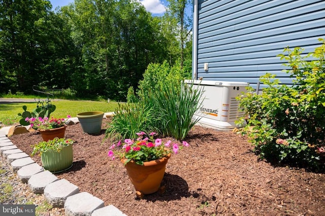 166 John Tucker Rd, Madison, VA 22727 - view of yard