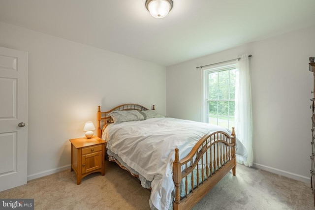 166 John Tucker Rd, Madison, VA 22727 - bedroom with light colored carpet and baseboards