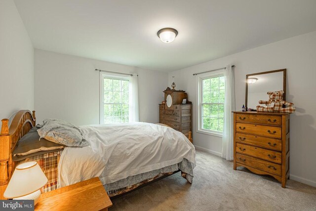 166 John Tucker Rd, Madison, VA 22727 - bedroom featuring multiple windows, baseboards, and carpet flooring