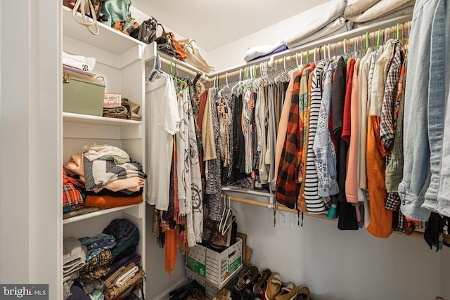166 John Tucker Rd, Madison, VA 22727 - view of walk in closet