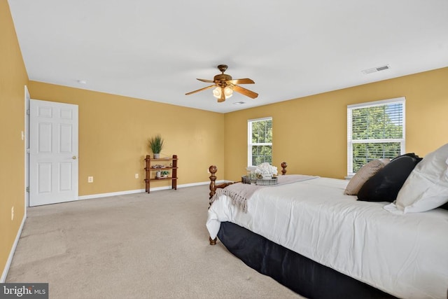 2455 Post Oak Dr, Culpeper, VA 22701 - photo 24