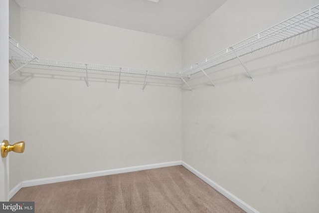 2455 Post Oak Dr, Culpeper, VA 22701 - photo 30