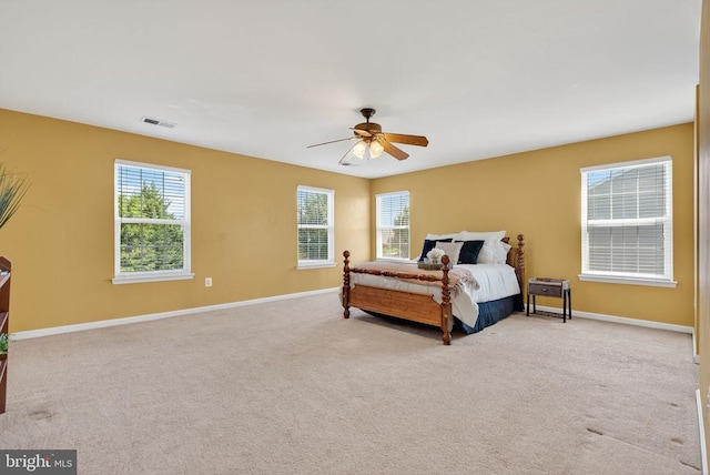2455 Post Oak Dr, Culpeper, VA 22701 - photo 23