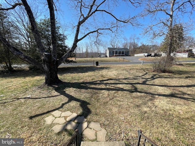 13093 Stonehouse Mountain Rd, Culpeper, VA 22701 - view of street