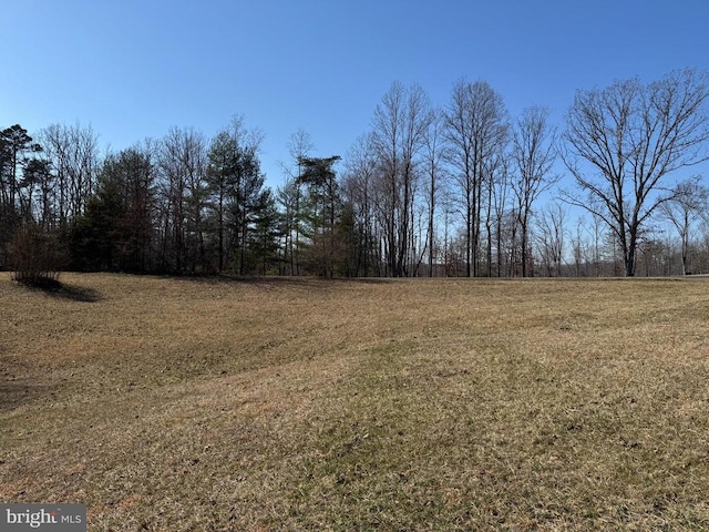 13093 Stonehouse Mountain Rd, Culpeper, VA 22701 - view of undeveloped land