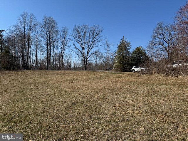 13093 Stonehouse Mountain Rd, Culpeper, VA 22701 - view of grassy yard