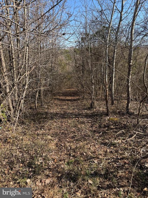 13093 Stonehouse Mountain Rd, Culpeper, VA 22701 - view of undeveloped land