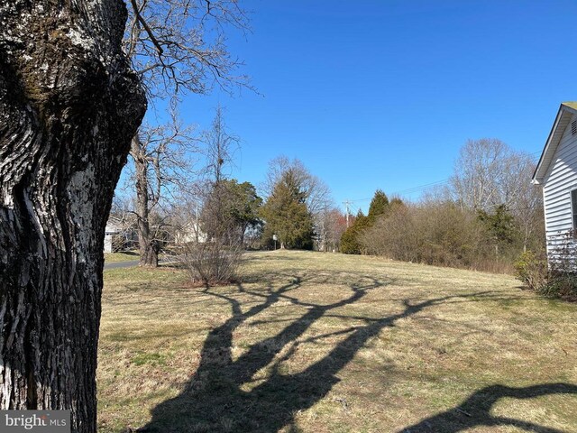 13093 Stonehouse Mountain Rd, Culpeper, VA 22701 - view of grassy yard