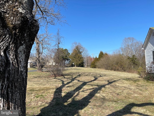 13093 Stonehouse Mountain Rd, Culpeper, VA 22701 - view of grassy yard