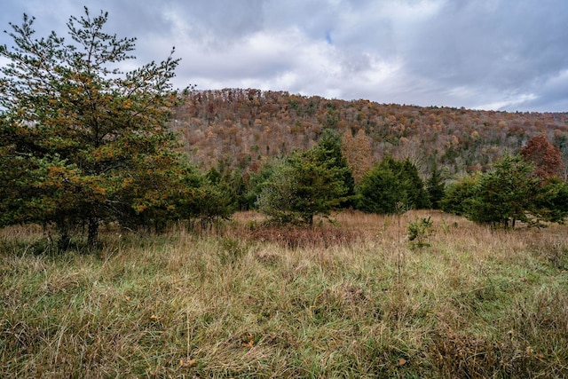 0 Blue Gray Trl, Franklin, WV 26807