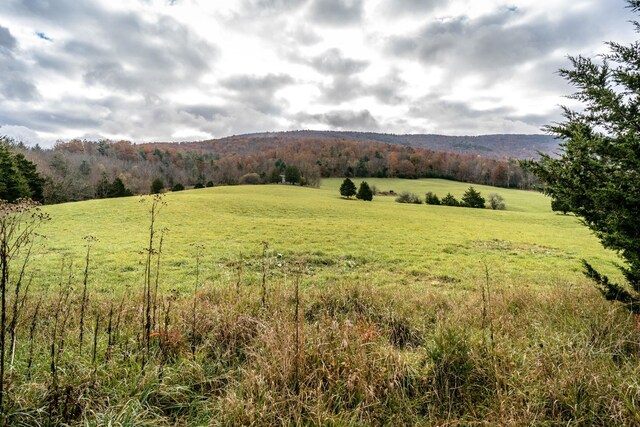 0 Blue Gray Trl, Franklin, WV 26807