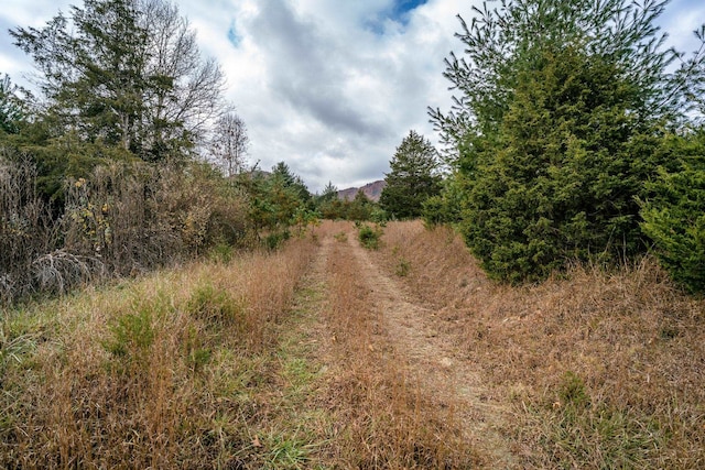 0 Blue Gray Trl, Franklin, WV 26807
