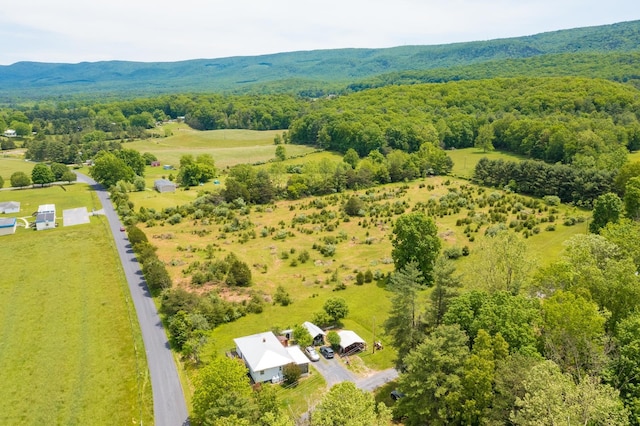 TBD Estaline Valley Rd, Craigsville, VA 24430