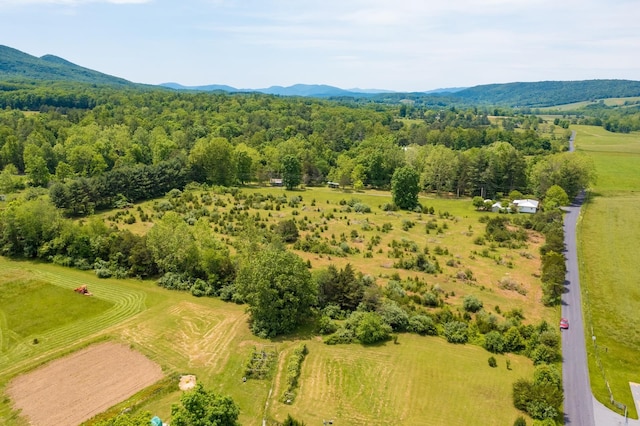 TBD Estaline Valley Rd, Craigsville, VA 24430