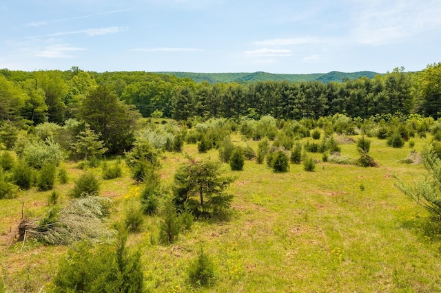 TBD Estaline Valley Rd, Craigsville, VA 24430