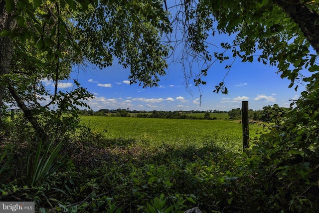  - view of local wilderness featuring rural landscape