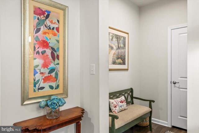 14219 Belle Ave, Culpeper, VA 22701 - corridor featuring dark wood finished floors and baseboards