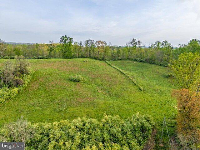  - photo 23