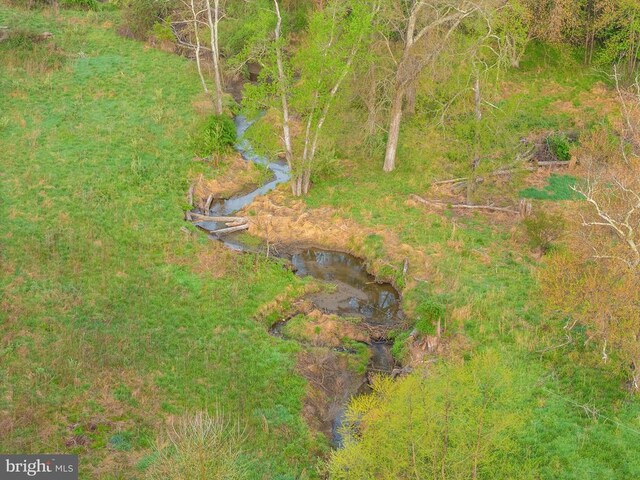  - photo 18