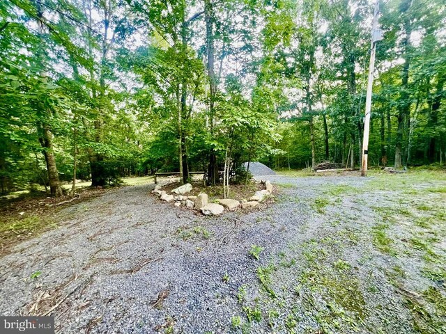 Suzanne Ln, Luray, VA 22835 - photo 3