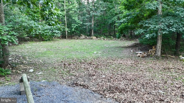 Suzanne Ln, Luray, VA 22835 - photo 2