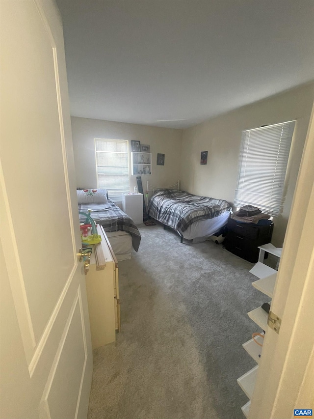 1520 Villa Ter Unit E, Charlottesville, VA 22903 - bedroom with carpet flooring