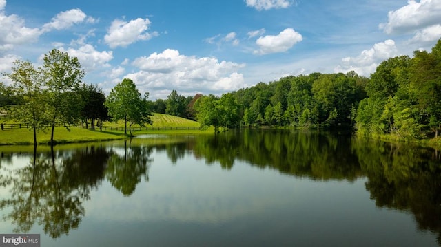5191 Beach Ridge Ln, Amissville, VA 20106 - photo 5