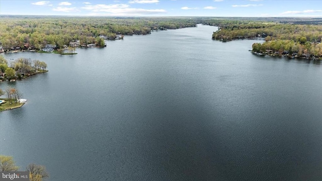 208 Mt Pleasant Dr, Locust Grove, VA 22508 - drone / aerial view of a heavily wooded area and a nearby body of water