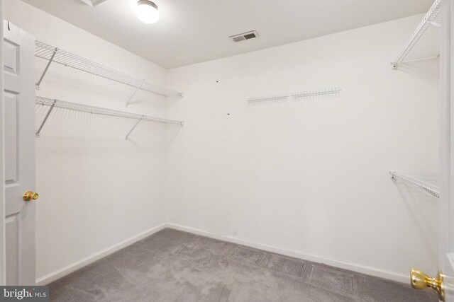 208 Mt Pleasant Dr, Locust Grove, VA 22508 - spacious closet with carpet floors