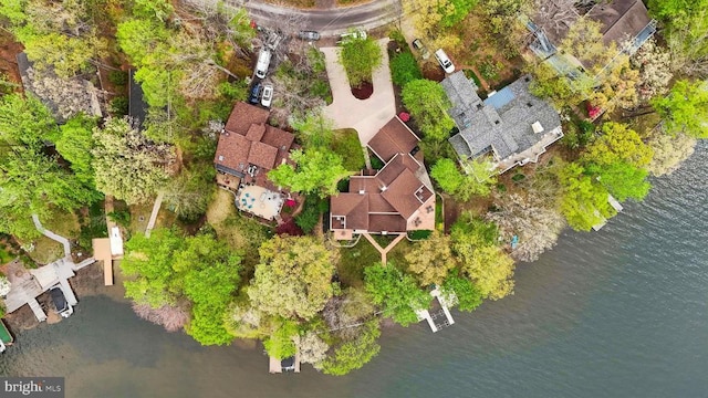 208 Mt Pleasant Dr, Locust Grove, VA 22508 - aerial view of a large body of water
