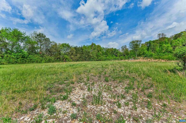 5722 James River Rd, Gladstone, VA 24553 - view of wooded area