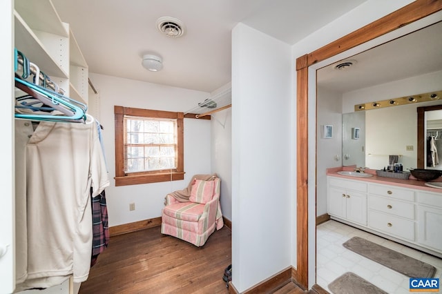 5722 James River Rd, Gladstone, VA 24553 - spacious closet featuring a sink and light wood-style floors