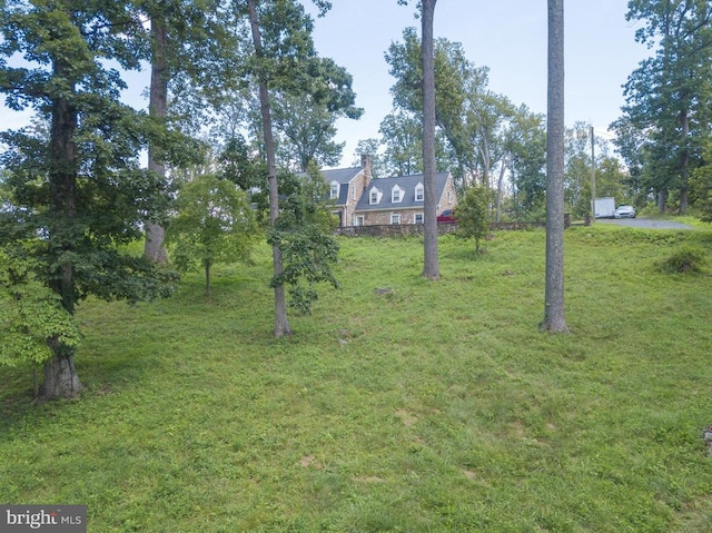 8385 James Madison Hwy, Warrenton, VA 20186 - photo 5