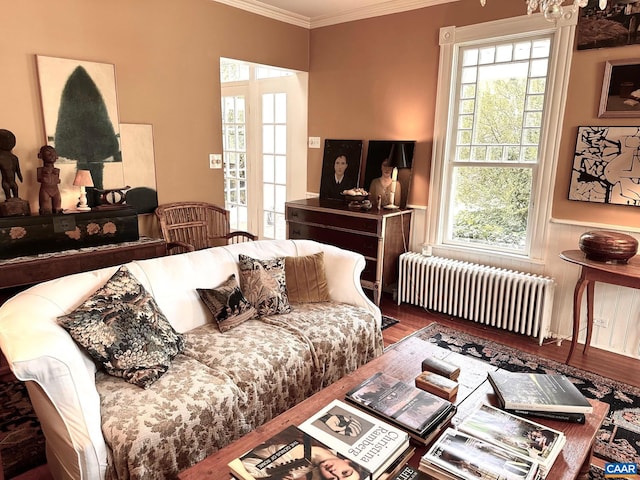 10064 Hatton Ferry Ln, Scottsville, VA 24590 - bedroom with radiator, crown molding, and wood finished floors