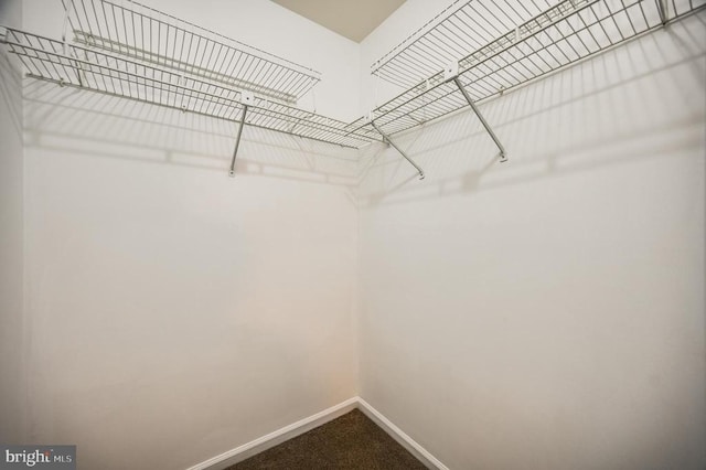 11175 Elwyn Ct, Fredericksburg, VA 22407 - spacious closet with dark carpet