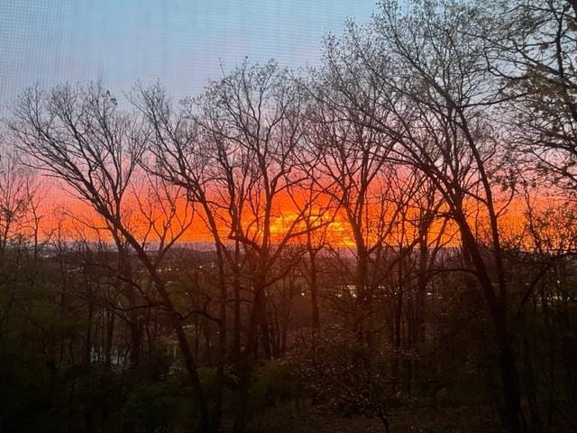 1217 Windsor Rd, Harrisonburg, VA 22801 - view of nature at dusk