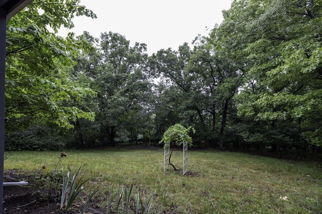 1217 Windsor Rd, Harrisonburg, VA 22801 - view of yard