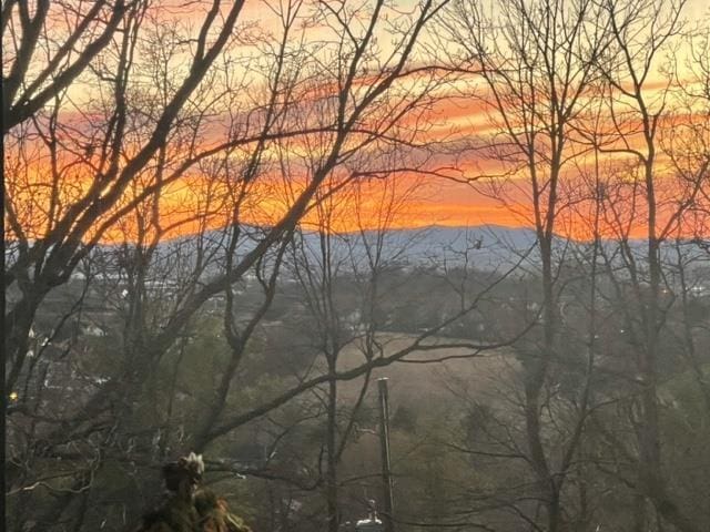 1217 Windsor Rd, Harrisonburg, VA 22801 - view of mountain feature