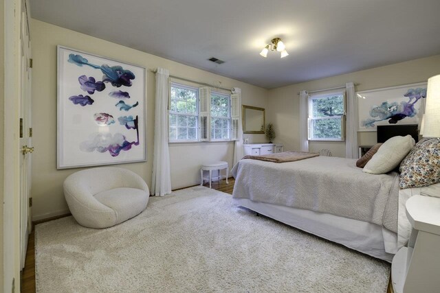 1217 Windsor Rd, Harrisonburg, VA 22801 - bedroom with baseboards, multiple windows, and visible vents