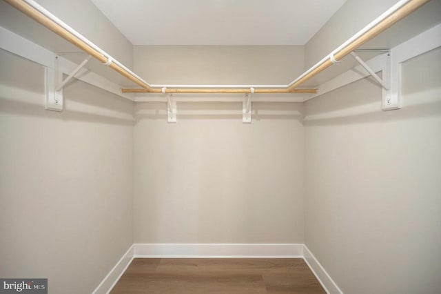 60 Laurelwood Dr, Mineral, VA 23117 - walk in closet featuring wood finished floors
