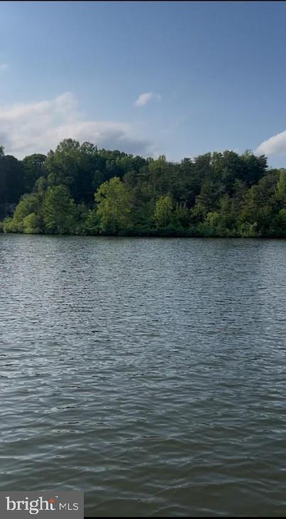 60 Laurelwood Dr, Mineral, VA 23117 - water view featuring a forest