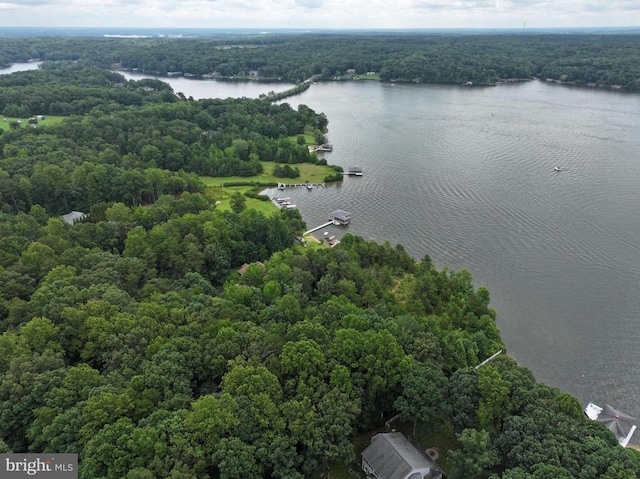 60 Laurelwood Dr, Mineral, VA 23117 - bird's eye view of a nearby body of water and a heavily wooded area