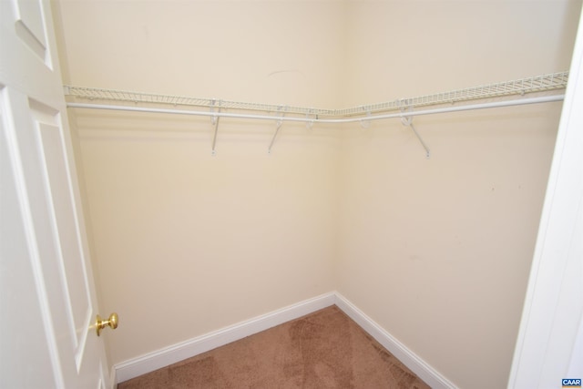 spacious closet featuring light colored carpet